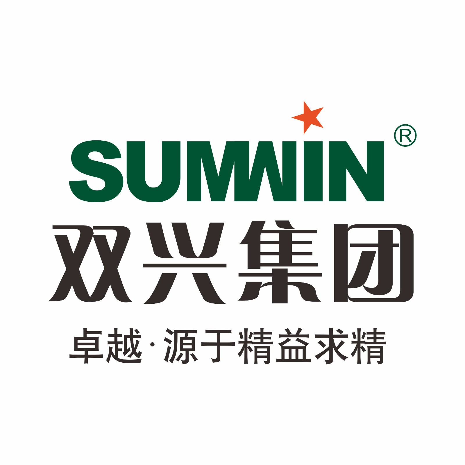 GUANGDONG SUMWIN NEW MATERIAL GROUP CO., LTD