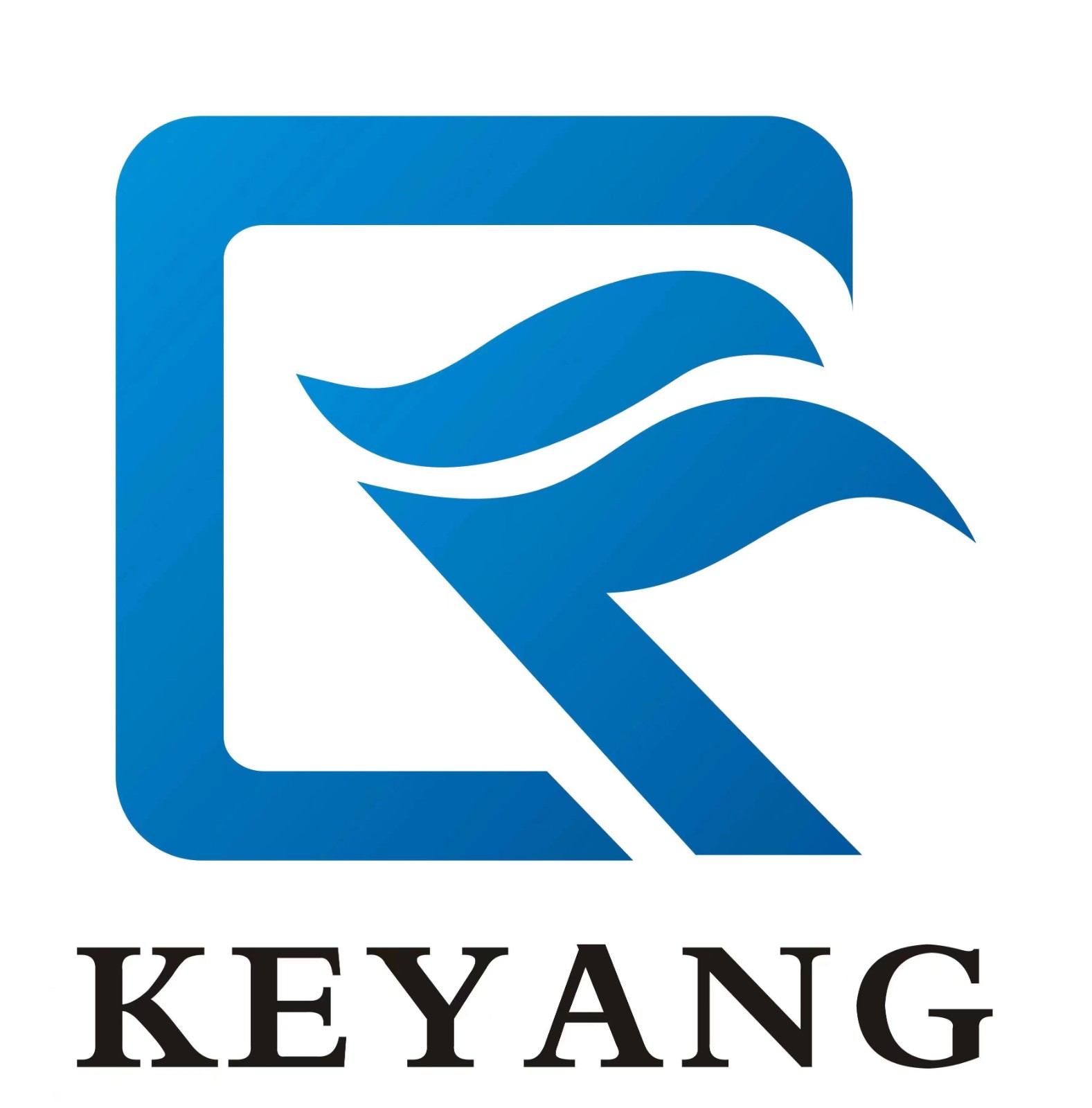 HEBEI KEYANG FLOW CONTROL TECHNOLOGY CO., LTD.