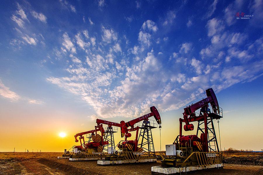外媒：OPEC称全球石油需求将在下半年强劲反弹